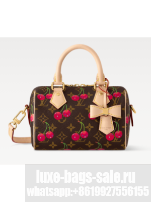 Louis Vuitton NEW LV x TM Speedy Bandouliere 20 M13094