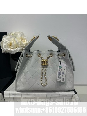 CHANEL 25 SMALL HANDBAG AS5293 light gray