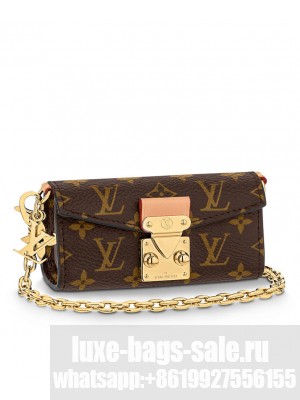 Louis Vuitton Bitsy Pouch M00991 Brown