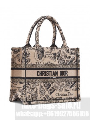 Christian Dior Small Dior Book Tote Apricot