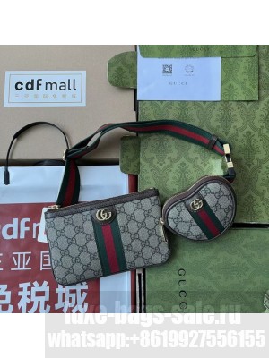 Gucci GG Waist bag 698805 Brown