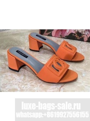 Dolce & Gabbana Heel 6.5cm Calfskin Mules Orange With DG Millennials Logo 2021