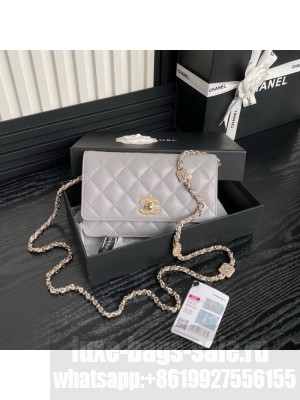 Chanel WALLET ON CHAIN AP4299 gray