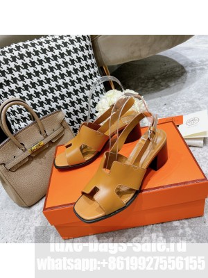 Hermes Elbe 6cm Sandals Brown