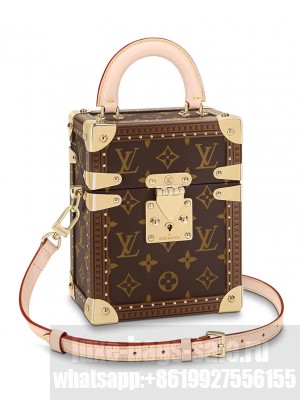 Louis Vuitton Camera Box M10079 Brown