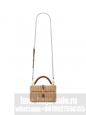 Saint Laurent Gaby Vanity Bag In Osier 766731 Coffee
