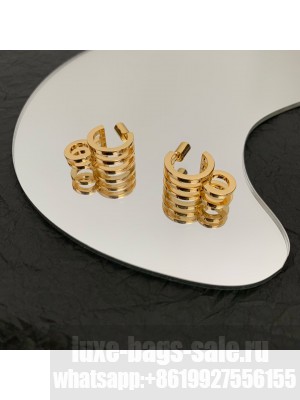 Bottega Veneta Earrings 038