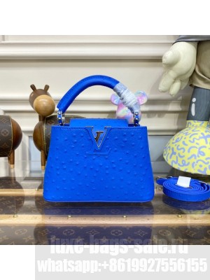 Louis Vuitton CAPUCINES MINI M93483 blue
