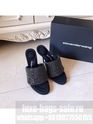 Alexander Wang Crystal Slide Sandals 10.5cm Black 2022 Collection