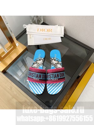 Dior DWAY SLIDE Orange Embroidered Cotton 2022 Collection