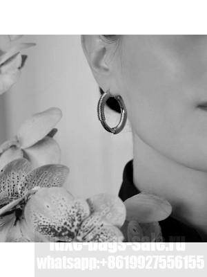 Bottega Veneta Earrings 025