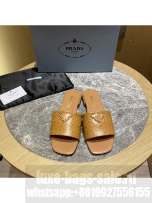 Prada Flat slides sandals 2022 Collection 02