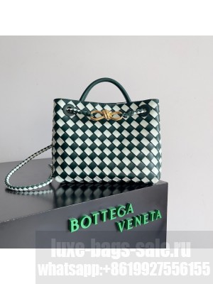 Bottega Veneta Small Andiamo 766014 white&green
