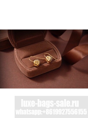 Valentino Earrings V038