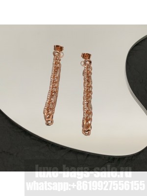 Bottega Veneta Earrings 036