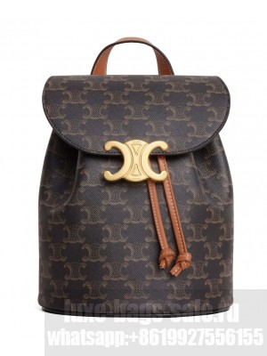 Celine Backpack Celine Bonnie In Triomphe Canvas And Calfskin Coffee