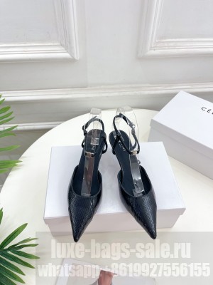 CELINE KITTEN WITH TRIOMPHE STRAP IN CALFSKIN BLACK