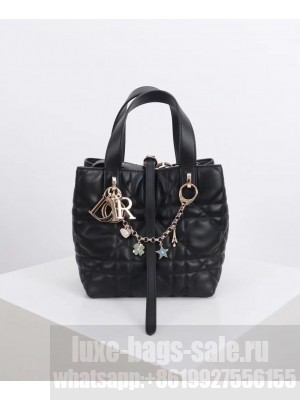 Christian Dior Small Dior Toujours Vertical Handbag Black
