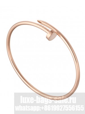 Cartier Juste un Clou bracelet 6062517 Red