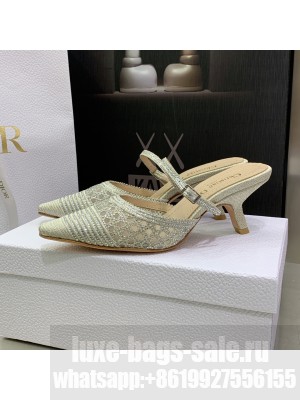 Dior J'Adior Mule 6.5cm in Gray Cotton Embroidered with Crystal 2022 Collection