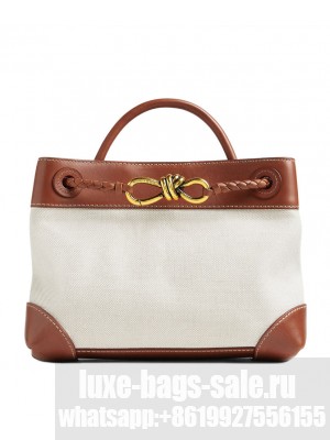 Bottega Veneta Small Andiamo Coffee
