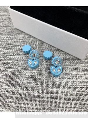 Bottega Veneta Earrings 015