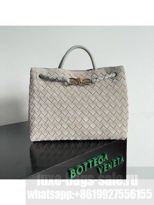 Bottega Veneta Medium Andiamo Suede 766016 gray