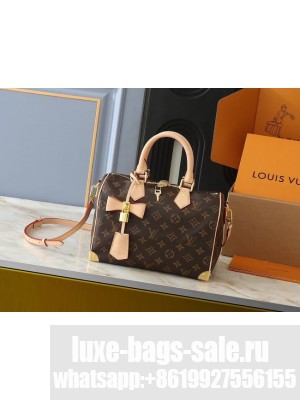 Louis Vuitton LV x TM Speedy Bandouliere 25 M13805