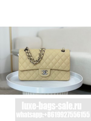 CHANEL CLASSIC 11.12 HANDBAG AS01112 Apricot&Silver Metal