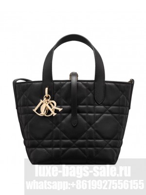 Christian Dior Small Dior Toujours Vertical Tote Bag Black
