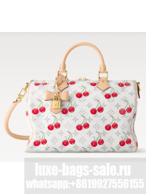 Louis Vuitton NEW LV x TM Speedy Soft Bandouliere 30 M14238